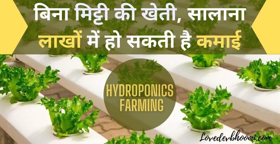 hydroponics farming hindi