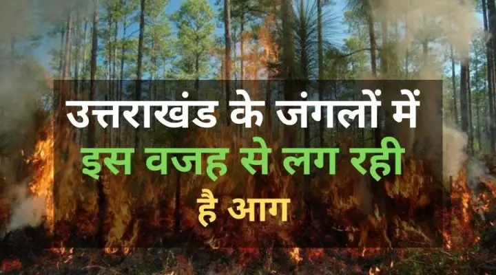 Fire in Uttarakhand Forest